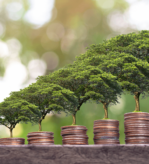 Características principales de financiación