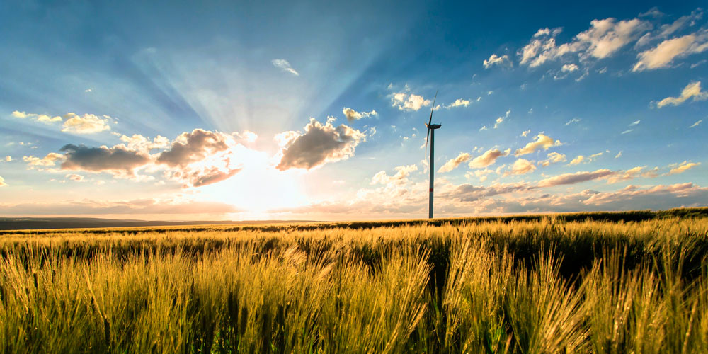 Renewable energy in Europe. Wind