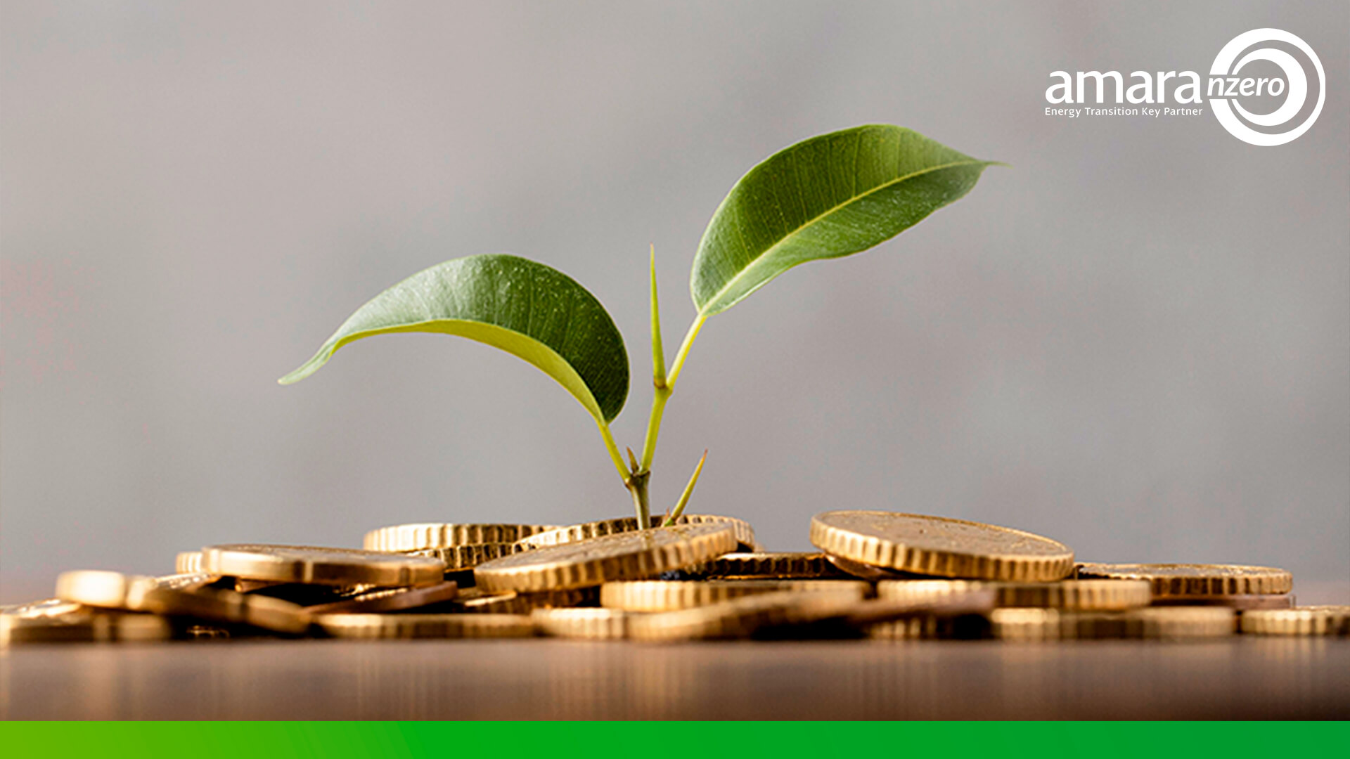Amara NZero Finance
