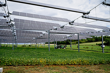 agrovoltaica
