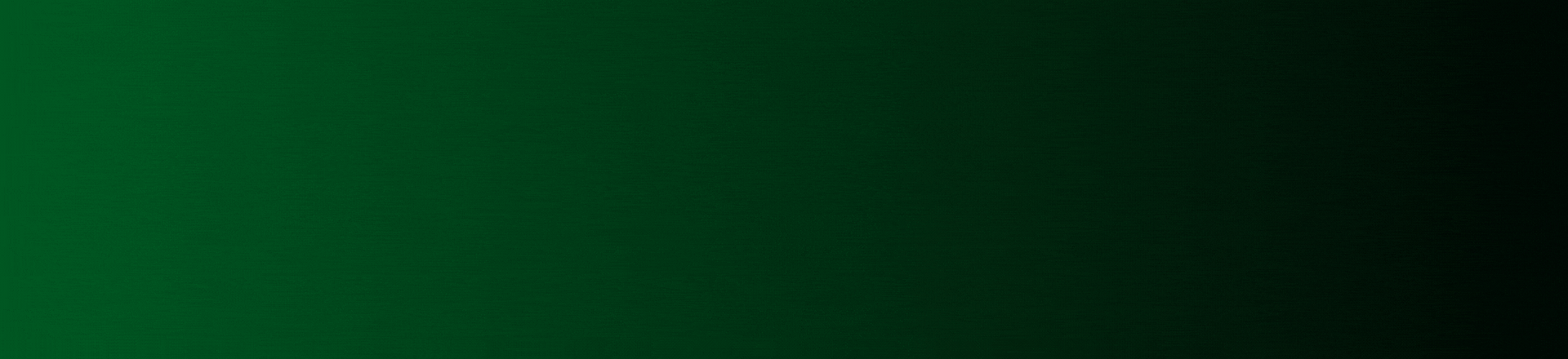 longi-desktop